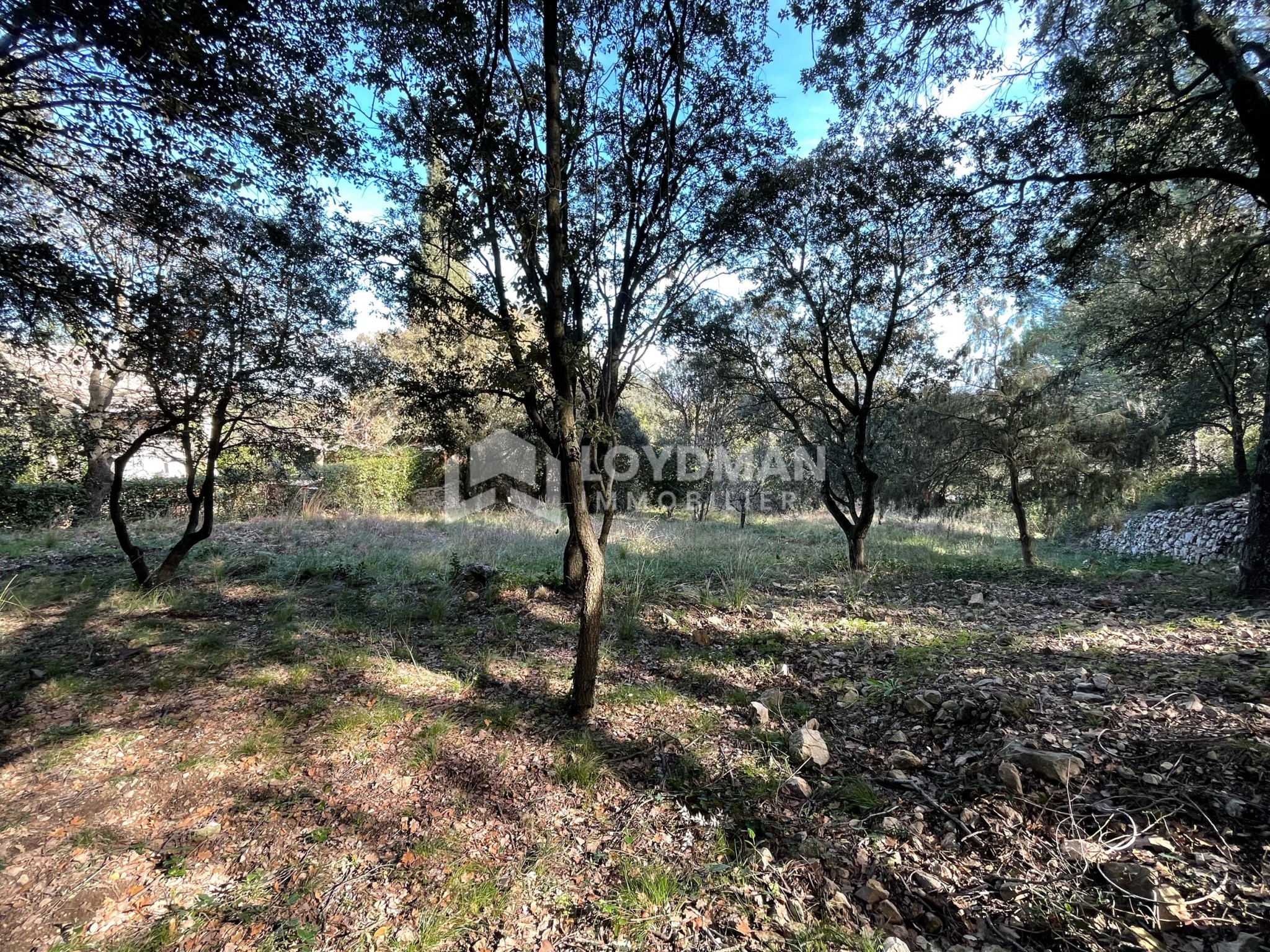 Murviel les Montpellier, Terrain 2778m2 400 000€ - Image 2
