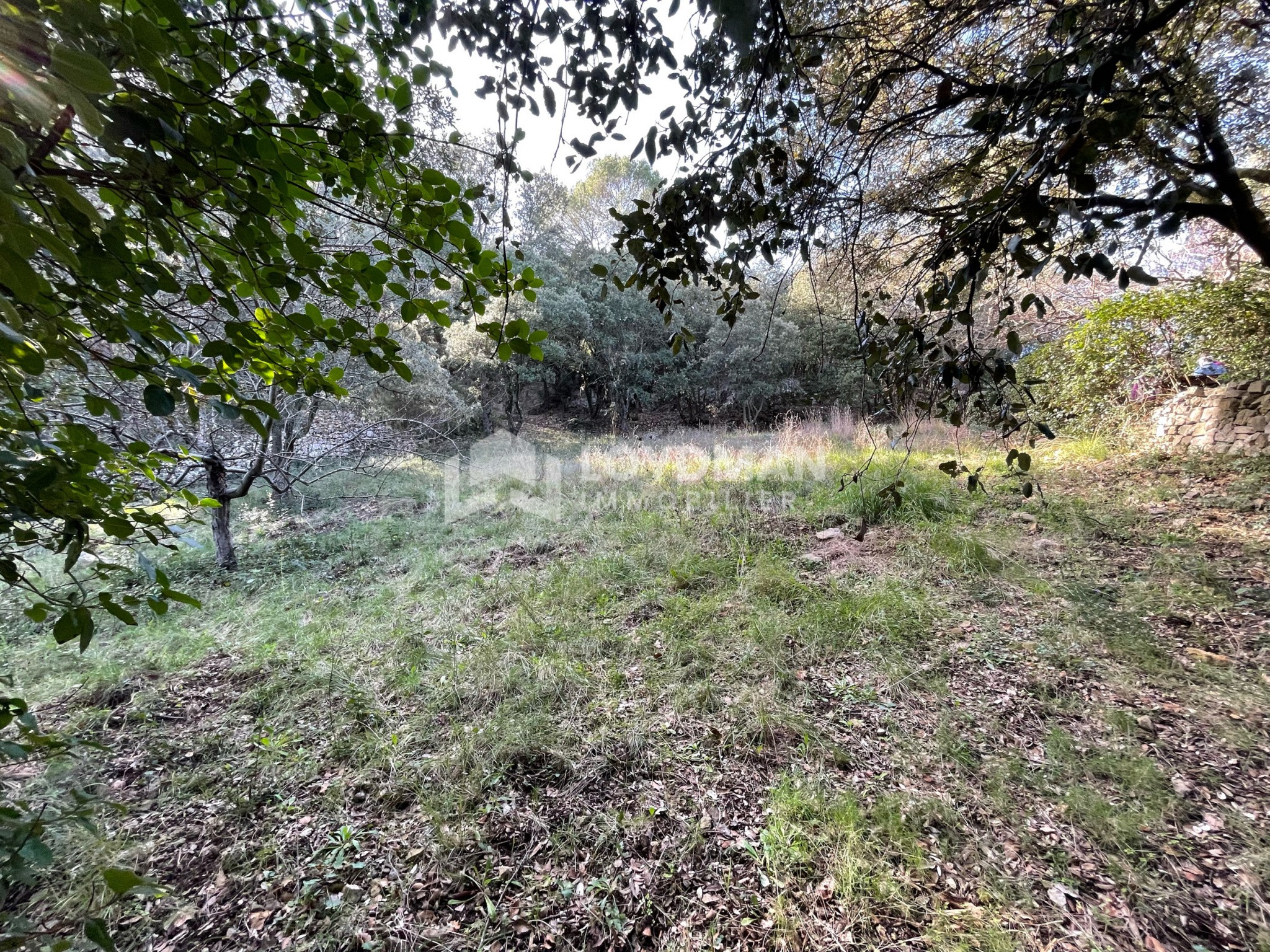 Murviel les Montpellier, Terrain 2778m2 400 000€ - Image 1