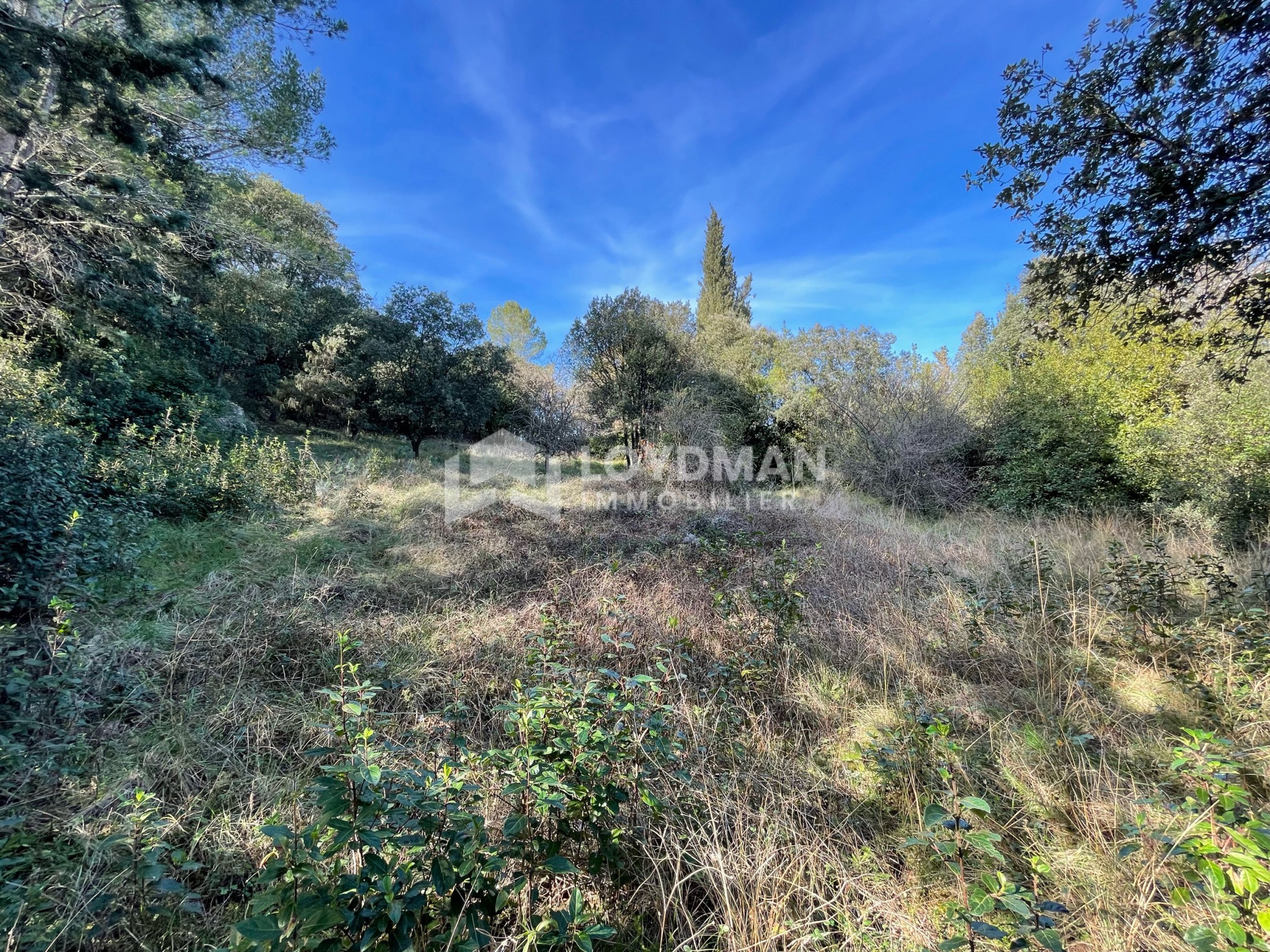 Murviel les Montpellier, Terrain 2778m2 400 000€ - Image 3