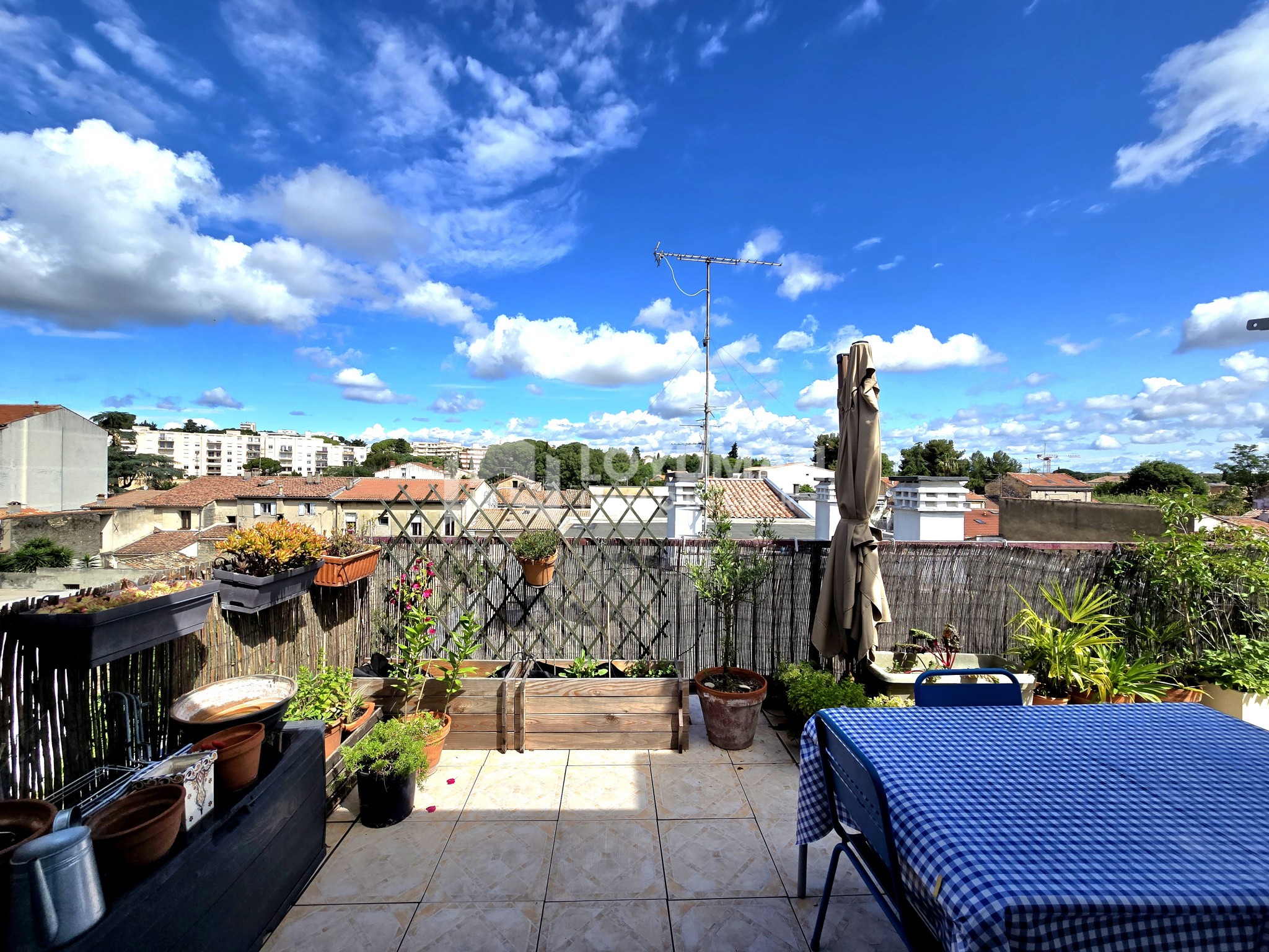 APPARTEMENT T2 DERNIER ÉTAGE AVEC TERRASSE XL MONTPELLIER CENTRE-VILLE - Image 1