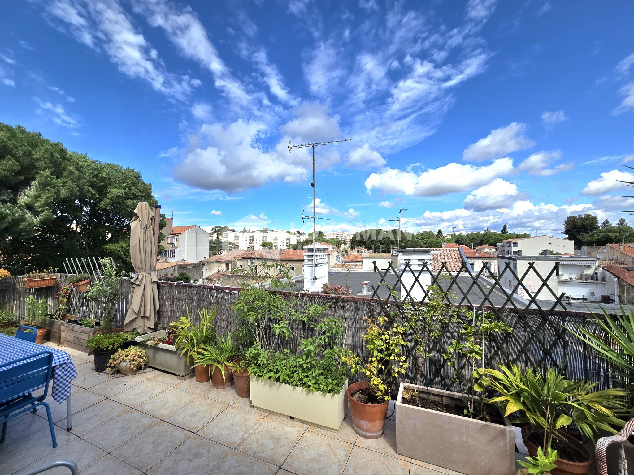 APPARTEMENT T2 DERNIER ÉTAGE AVEC TERRASSE XL MONTPELLIER CENTRE-VILLE - Image 3